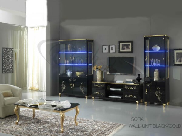 Sofia Italian 1 Door Display Cabinet Black and Gold Ben Company - Image 2